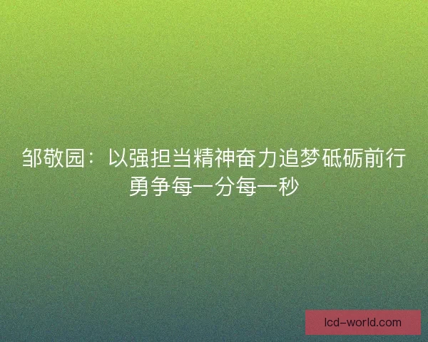 邹敬园：以强担当精神奋力追梦砥砺前行勇争每一分每一秒